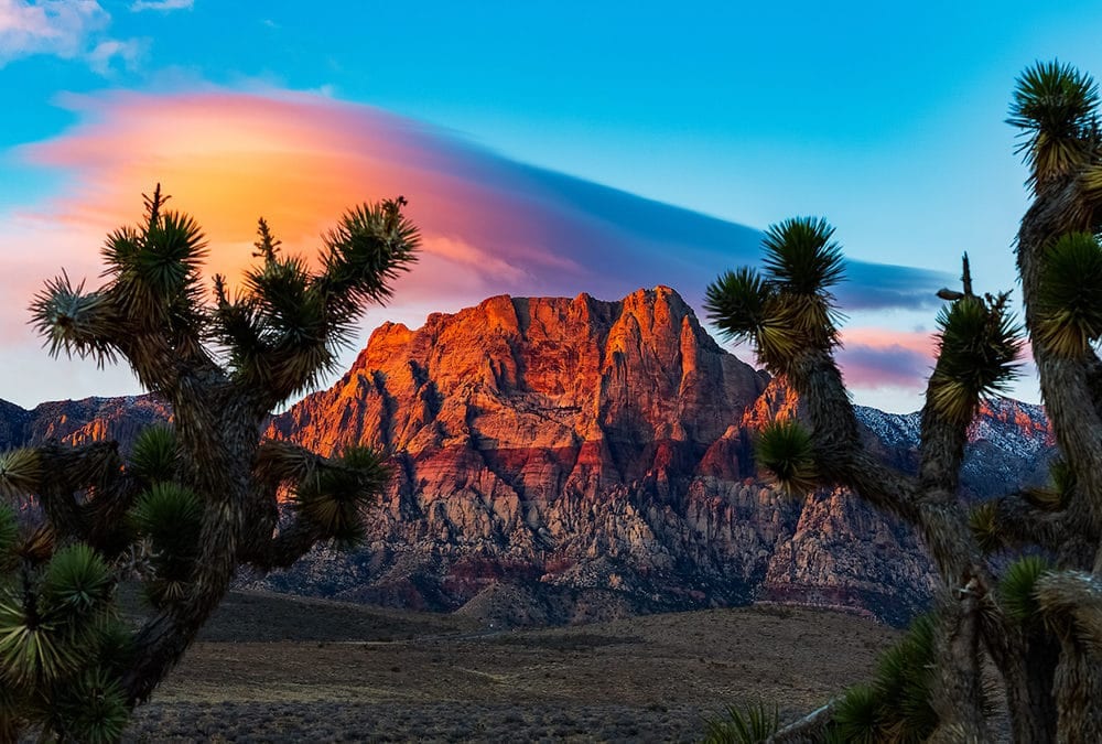 News 15 8 Things to Know Before Moving to Las Vegas